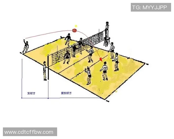 重庆排球队引领排球战术新潮流最新TOP10战术解析全面升级
