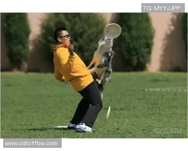 广州飞盘队在极限运动世界杯中的拼搏历程与荣耀时刻分享